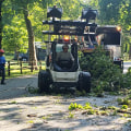 Patriot Tree Service in Northern Virginia: Your Go-To for Stump Grinding and Removal