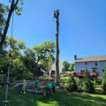 Patriot Tree Service: Your Go-To Emergency Tree Removal Experts in Northern Virginia