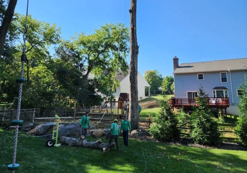 The Average Response Time for Emergency Tree Removal Services from Patriot Tree Service in Northern Virginia